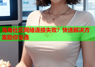 海角社区网络连接失败？快速解决方案助你重连