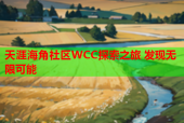 天涯海角社区WCC探索之旅 发现无限可能