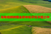 海角视频转播全新体验尽在掌握之中