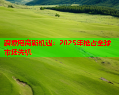 跨境电商新机遇：2025年抢占全球市场先机  第3张